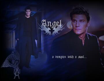 028.jpg