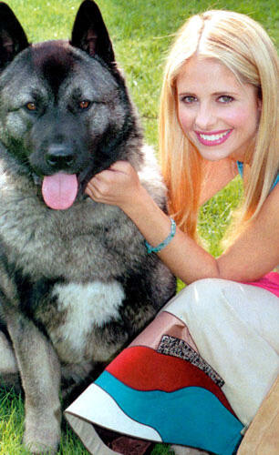 Buffy · Darsteller